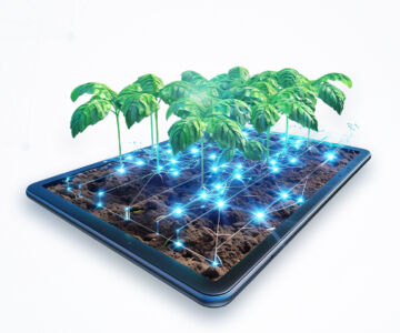 4 طرق تغيّر بها التكنولوجيا الزراعية مستقبل الغذاء