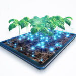 4 طرق تغيّر بها التكنولوجيا الزراعية مستقبل الغذاء